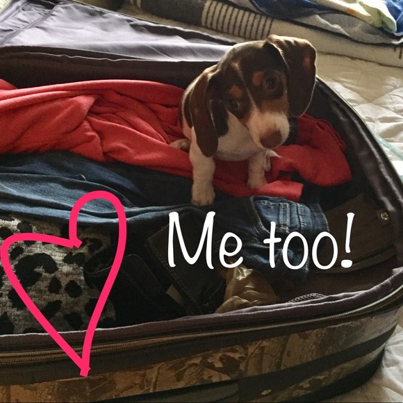 Meet Your Posher, Laura - Picture 6 of 6